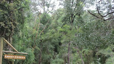 Conaf anuncia cierre temporal de áreas protegidas por lluvia en varias regiones