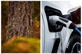 Fabricadas a partir de árboles: las baterías sostenibles que prometen cargar autos eléctricos en solo ocho minutos