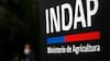 Contraloría detecta que Indap entregó beneficios a personas que no cumplían requisitos
