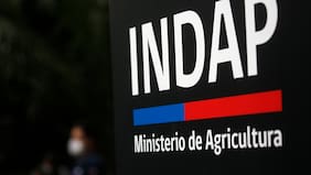 Contraloría detecta que Indap entregó beneficios a personas que no cumplían requisitos