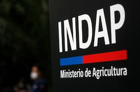Contraloría detecta que Indap entregó beneficios a personas que no cumplían requisitos