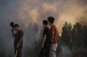 Incendios forestales: fiscal nacional viaja a Santa Juana y pone en marcha protocolo para atención a víctimas de desastres