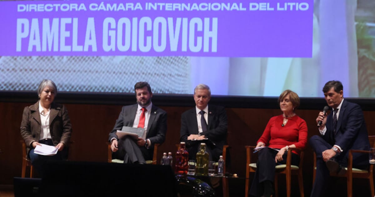 La minería en Chile 2025: ¿avance o estancamiento? : Cinco miradas en pugna sobre el futuro de un sector clave