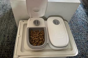Volví al trabajo presencial y este económico dispensador de comida para mascotas me salvó la vida (y la de mi perro)