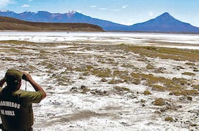 Litio: firma demanda al Ministerio de Minería y pide dejar sin efecto contratos para realización de consultas indígenas