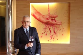 La apuesta chilena de la viña española Félix Solís Avantis