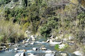 Desde septiembre se podrá visitar Río Clarillo, el primer parque nacional de la Región Metropolitana