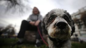 Anuncian el regreso de la lluvia en la Región Metropolitana: cuándo comienzan las precipitaciones