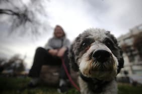 Anuncian el regreso de la lluvia en la Región Metropolitana: cuándo comienzan las precipitaciones