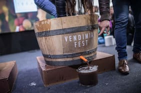 Vendimia Fest 2023: vuelve la fiesta del vino en las calles de barrio Italia
