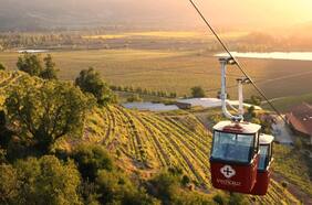 Viñas que tienes que visitar sí o sí: estos son las ganadoras de los Premios Enoturismo Chile