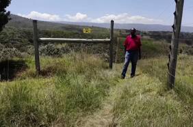 Kenia | Instalan cercos eléctricos para proteger a los bosques de los humanos