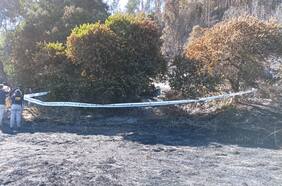 Fiscalía y PDI realizan diligencias en cuatro focos donde se habría iniciado el incendio forestal en Valparaíso
