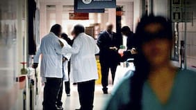 Minsal informa que letalidad del hantavirus aumentó levemente este periodo estival y reporta hallazgo de nuevo mosquito