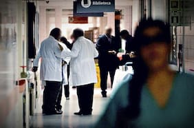 Minsal informa que letalidad del hantavirus aumentó levemente este periodo estival y reporta hallazgo de nuevo mosquito