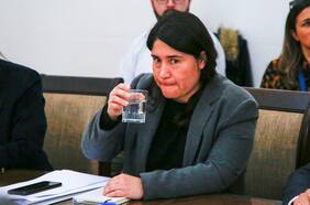 Quién es Pamela Venegas, la jefa de Estadio Seguro que renunció tras la muerte de dos hinchas de Colo Colo