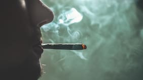 Qué pasa en tu cerebro cuando consumes marihuana, según estudios recientes