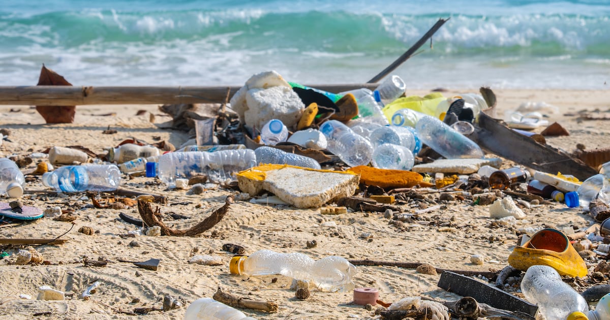 Chile consume los recursos de un año en 191 días:El sobregiro ecológico expone la fractura entre el discurso verde y la realidad territorial