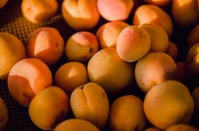 Segundos a nivel mundial: exportaciones de carozos chilenos cerraron la temporada con récord histórico