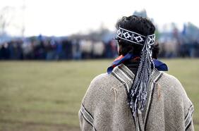 Ley Indígena: Estado ha gastado más de $ 700 mil millones en tierras destinadas a comunidades mapuche en la Macrozona Sur
