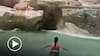 Turista se lanzó a Fontana di Trevi y fue sacada a gritos: arriesga a ser vetada de por vida