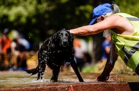 Estas son las consecuencias del fenómeno de El Niño costero en el clima de Chile