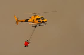 Senapred declara alerta amarilla por incendio forestal en Mostazal: hay al menos 30 hectáreas afectadas