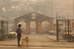 De “actuó tarde” a “llamaría a concentrarnos en detener el fuego”: diputados del Biobío y reacción del gobierno ante incendios