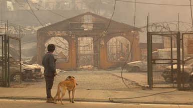 De “actuó tarde” a “llamaría a concentrarnos en detener el fuego”: diputados del Biobío y reacción del gobierno ante incendios