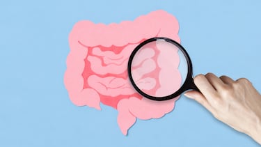 Ni rápido ni lento: así funciona el metabolismo