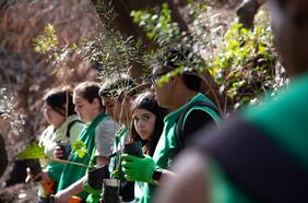 Un nuevo florecer para el Jardín Botánico de Viña del Mar