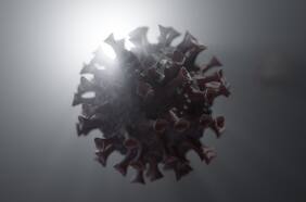 Estudio descubre que virus están al acecho antes de multiplicarse y matar: es como si tuvieran “ojos y oídos”