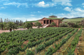 Casa Barroso: tradición y sabor en Casablanca