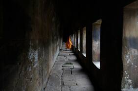 En 2010, un virus similar al Sars-CoV-2 ya circulaba en Camboya