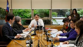 Tras fracaso inicial por falta de quórum: comisión de Hacienda del Senado vuelve a sesionar y despacha Sala Cuna Universal