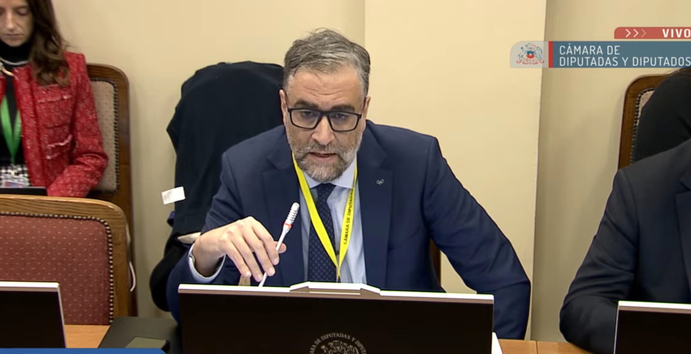 En comisión de Seguridad por registro de vándalos: Fiscalía advierte problemas de constitucionalidad ante vulneración de derechos sociales