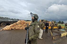 Desbaratan banda dedicada al robo de madera en Collipulli: tres imputados quedaron en prisión preventiva
