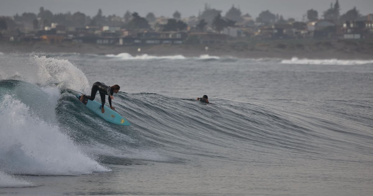 Patagonia y Punta de Lobos: la alianza que convirtió el surf en una apuesta por la comunidad, la conservación y el turismo - La Tercera