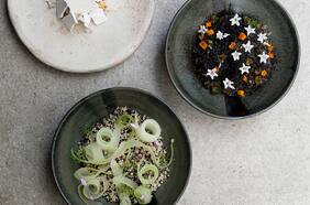 Sierra, un lujo en Providencia