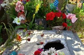 Vandalizan tumba de Víctor Jara en el Cementerio General