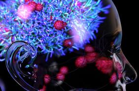 El coronavirus puede “esconderse” en el cerebro y desde ahí volver a atacar para causar recaídas e incluso la muerte, según un estudio