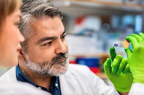 Científico chileno descubre la primera molécula que puede regenerar el intestino y frenar tumores