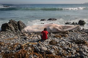 Francisco Bermejo, la mente tras El Otro documental chileno sobre vejez y soledad que triunfa en festivales