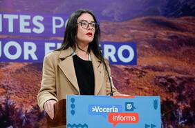 Tras declaraciones de diputada Catalina Pérez (RD): Vallejo dice que “la justicia tiene que investigar”