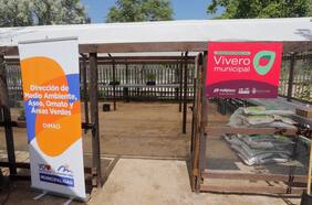 Bosques urbanos, viveros y espacios públicos: el compromiso de Mallplaza al 2028