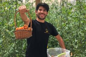 Emprendedor cultiva tomates cherry en el desierto más árido del mundo