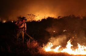 Incendios forestales están dejado irreconocible nuestro mundo