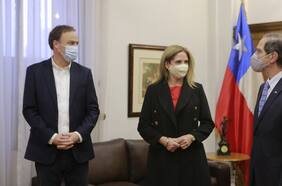 ¿Cómo funcionará el sistema de monitoreo telemático para combatir la violencia intrafamiliar que presentó hoy el gobierno con urgencia en el Senado?