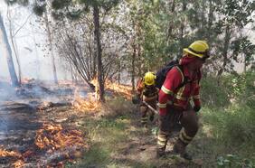 Ministerio Público de La Araucanía ordena a la PDI investigar presunta intencionalidad en los incendios en Los Sauces