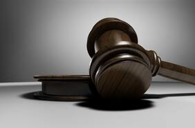 Histórico fallo en La Haya dice que el cambio climático “pone en peligro todas las formas de vida” y alerta a algunos países